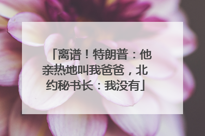 离谱！特朗普：他亲热地叫我爸爸，北约秘书长：我没有