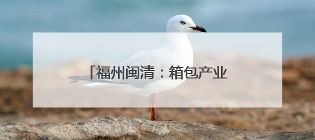 福州闽清：箱包产业托起乡村振兴致富梦