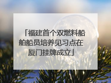 福建首个双燃料船舶船员培养见习点在厦门挂牌成立
