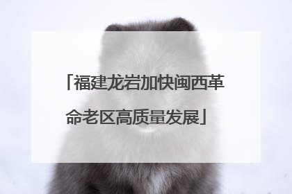 福建龙岩加快闽西革命老区高质量发展