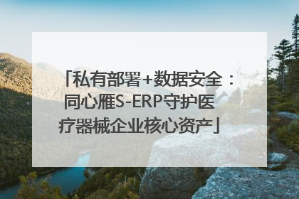 私有部署+数据安全：同心雁S-ERP守护医疗器械企业核心资产