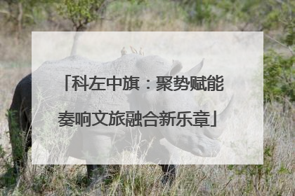 科左中旗：聚势赋能 奏响文旅融合新乐章