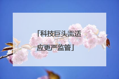 科技巨头需适应更严监管