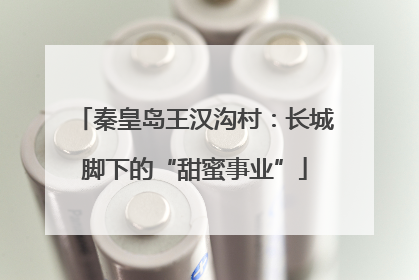 秦皇岛王汉沟村：长城脚下的“甜蜜事业”