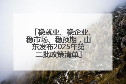 稳就业、稳企业、稳市场、稳预期，山东发布2025年第二批政策清单