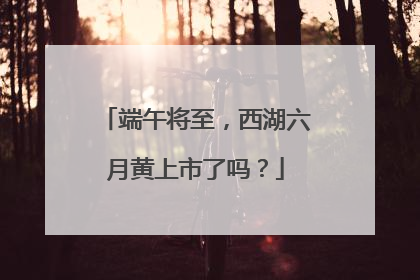 端午将至，西湖六月黄上市了吗？