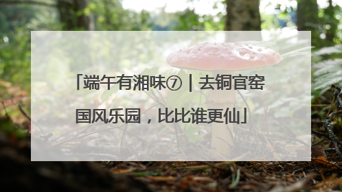 端午有湘味⑦｜去铜官窑国风乐园，比比谁更仙
