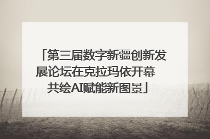 第三届数字新疆创新发展论坛在克拉玛依开幕 共绘AI赋能新图景