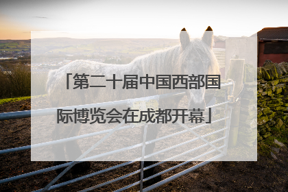 第二十届中国西部国际博览会在成都开幕