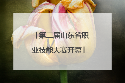 第二届山东省职业技能大赛开幕