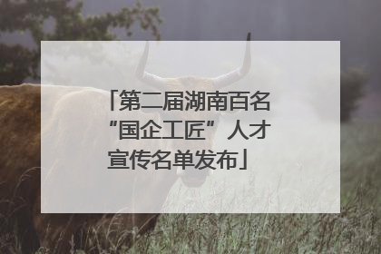第二届湖南百名“国企工匠”人才宣传名单发布