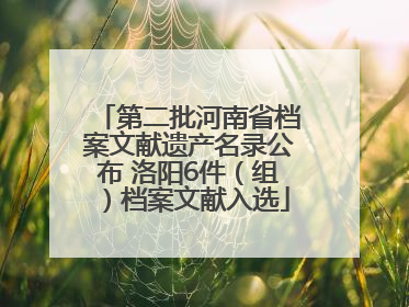 第二批河南省档案文献遗产名录公布 洛阳6件（组）档案文献入选