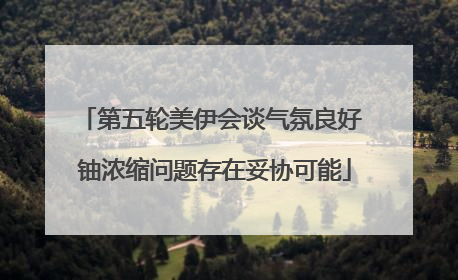 第五轮美伊会谈气氛良好 铀浓缩问题存在妥协可能