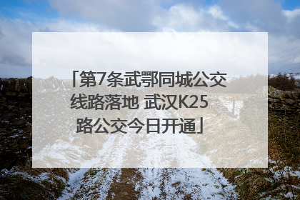 第7条武鄂同城公交线路落地 武汉K25路公交今日开通