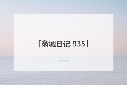 翁城日记 935