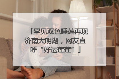 罕见双色睡莲再现济南大明湖，网友直呼“好运莲莲”