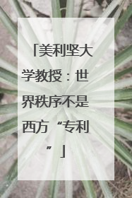 美利坚大学教授：世界秩序不是西方“专利”