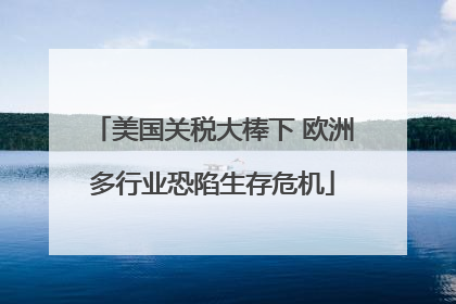 美国关税大棒下 欧洲多行业恐陷生存危机