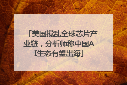 美国搅乱全球芯片产业链，分析师称中国AI生态有望出海