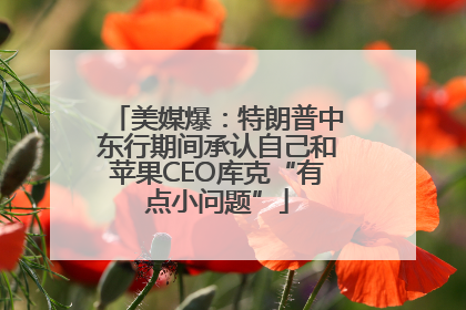 美媒爆：特朗普中东行期间承认自己和苹果CEO库克“有点小问题”