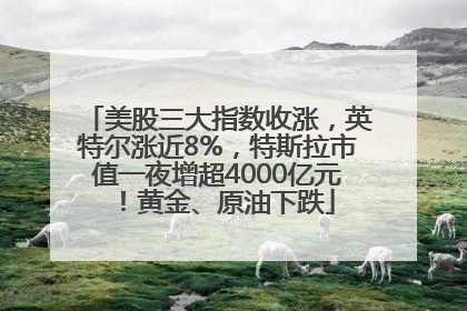 美股三大指数收涨，英特尔涨近8%，特斯拉市值一夜增超4000亿元！黄金、原油下跌