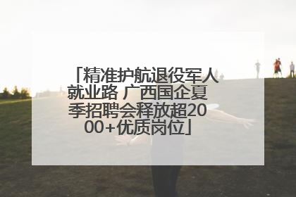 精准护航退役军人就业路 广西国企夏季招聘会释放超2000+优质岗位