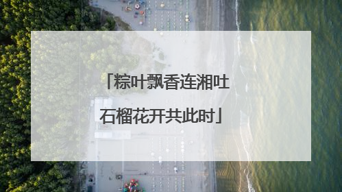 粽叶飘香连湘吐 石榴花开共此时