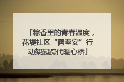 粽香里的青春温度，花堤社区“鹤耋安”行动架起跨代暖心桥