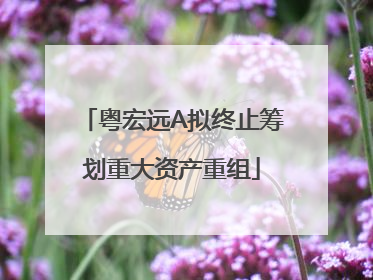 粤宏远A拟终止筹划重大资产重组