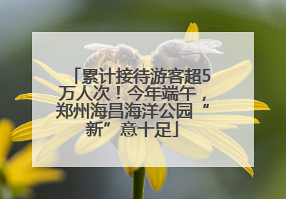 累计接待游客超5万人次！今年端午，郑州海昌海洋公园“新”意十足