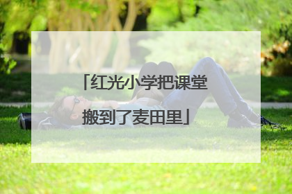 红光小学把课堂搬到了麦田里