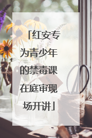 红安专为青少年的禁毒课在庭审现场开讲