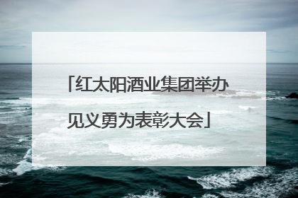 红太阳酒业集团举办见义勇为表彰大会