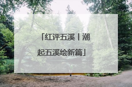 红评五溪丨潮起五溪绘新篇