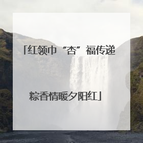 红领巾“杏”福传递 粽香情暖夕阳红
