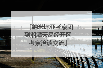 纳米比亚考察团到湘潭天易经开区考察洽谈交流