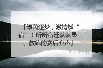 绿茵逐梦，激情燃“宿”！听听宿迁队队员、教练的赛后心声