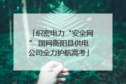 织密电力“安全网” 国网衡阳县供电公司全力护航高考