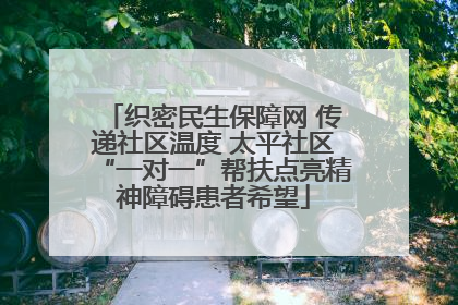 织密民生保障网 传递社区温度 太平社区“一对一”帮扶点亮精神障碍患者希望