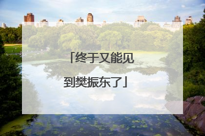 终于又能见到樊振东了