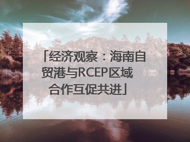 经济观察：海南自贸港与RCEP区域合作互促共进