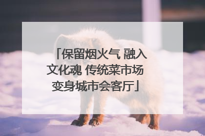 保留烟火气 融入文化魂 传统菜市场变身城市会客厅