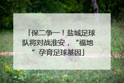 保二争一！盐城足球队将对战淮安，“福地”孕育足球基因