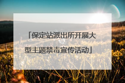 保定站派出所开展大型主题禁毒宣传活动