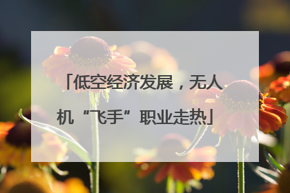 低空经济发展，无人机“飞手”职业走热