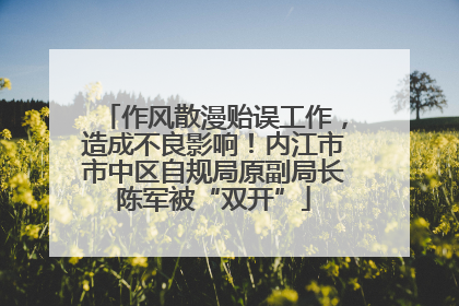 作风散漫贻误工作，造成不良影响！内江市市中区自规局原副局长陈军被“双开”