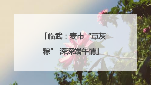 临武：麦市“草灰粽” 深深端午情