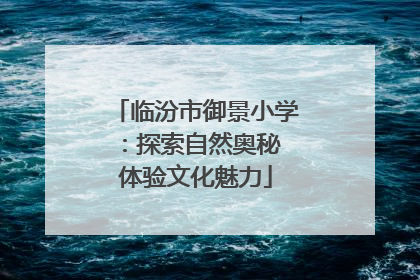 临汾市御景小学：探索自然奥秘 体验文化魅力
