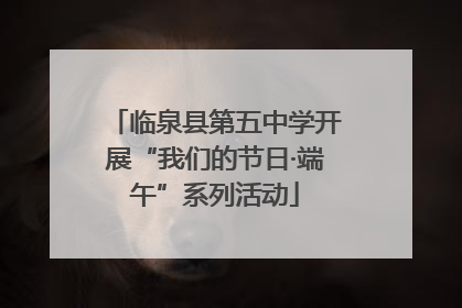 临泉县第五中学开展“我们的节日·端午”系列活动