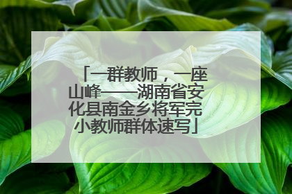 一群教师，一座山峰——湖南省安化县南金乡将军完小教师群体速写